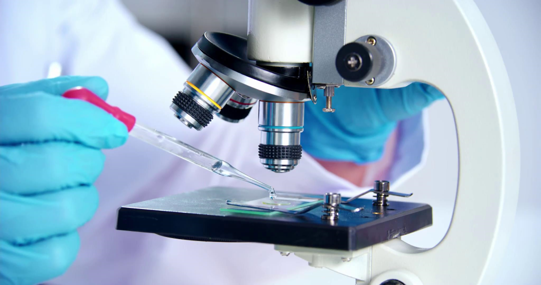 凯时尊龙人生就是博·Z6(中国)首页官网